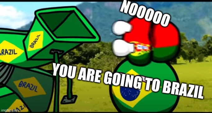 You're going to brazil | NOOOOO; YOU ARE GOING TO BRAZIL | image tagged in you're going to brazil | made w/ Imgflip meme maker