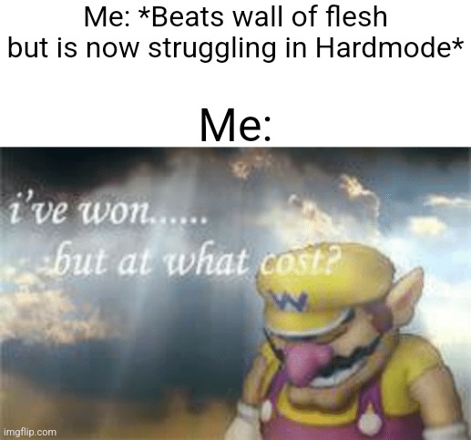 I've won but at what cost? | Me: *Beats wall of flesh but is now struggling in Hardmode*; Me: | image tagged in i've won but at what cost | made w/ Imgflip meme maker
