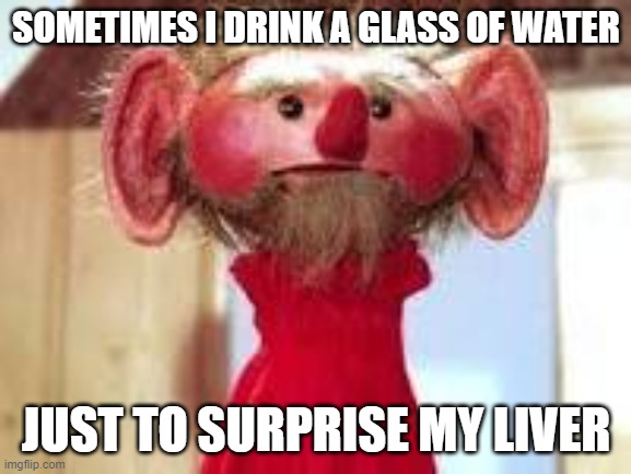 Scrawl | SOMETIMES I DRINK A GLASS OF WATER; JUST TO SURPRISE MY LIVER | image tagged in scrawl | made w/ Imgflip meme maker
