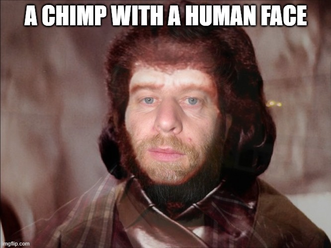 a chimp | A CHIMP WITH A HUMAN FACE | image tagged in human chimp | made w/ Imgflip meme maker