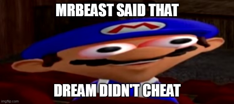 smg4 stare | MRBEAST SAID THAT; DREAM DIDN'T CHEAT | image tagged in smg4 stare | made w/ Imgflip meme maker