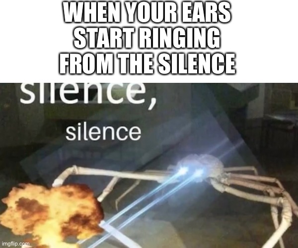 Silence silence | WHEN YOUR EARS START RINGING FROM THE SILENCE | image tagged in memes | made w/ Imgflip meme maker