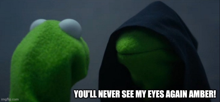 Evil Kermit Meme | YOU'LL NEVER SEE MY EYES AGAIN AMBER! | image tagged in memes,evil kermit | made w/ Imgflip meme maker