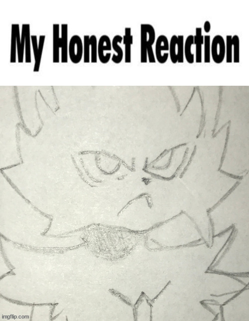 my honest reaction | image tagged in my honest reaction | made w/ Imgflip meme maker