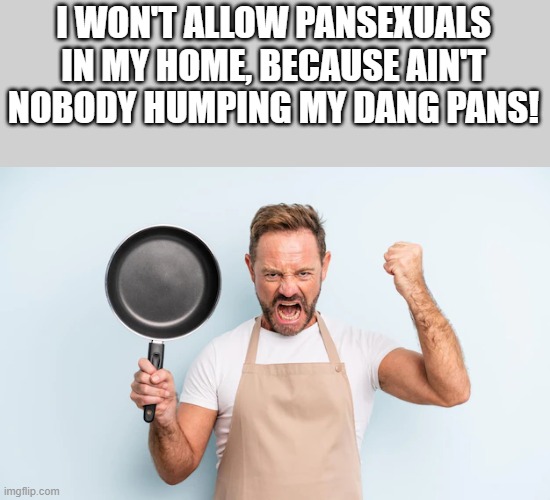 Why I Won't Allow Pansexuals In My Home | I WON'T ALLOW PANSEXUALS IN MY HOME, BECAUSE AIN'T NOBODY HUMPING MY DANG PANS! | image tagged in pansexual,pans,humping,home,funny,memes | made w/ Imgflip meme maker