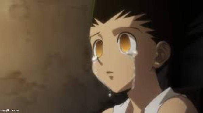 gon tears | image tagged in gon tears | made w/ Imgflip meme maker