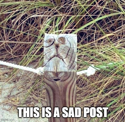 This is a sad post | THIS IS A SAD POST | image tagged in fun,pun | made w/ Imgflip meme maker