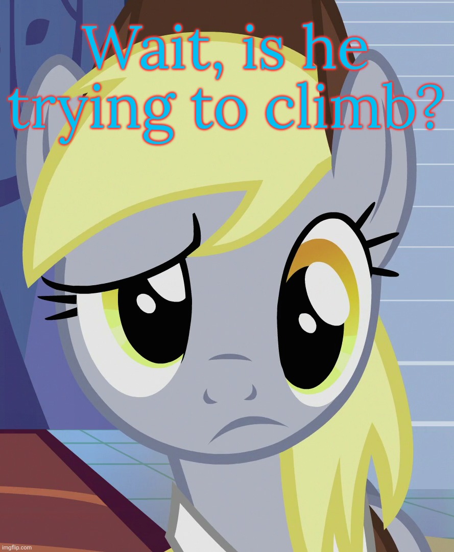 Skeptical Derpy (MLP) | Wait, is he trying to climb? | image tagged in skeptical derpy mlp | made w/ Imgflip meme maker