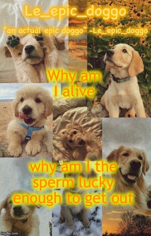 Doggo temp by doggo. Wait what that’s confusing | Why am I alive; why am I the sperm lucky enough to get out | image tagged in doggo temp by doggo wait what that s confusing | made w/ Imgflip meme maker