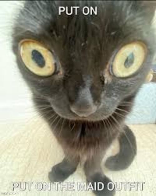 /J. Maybe. | made w/ Imgflip meme maker