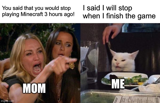 Woman Yelling At Cat | You said that you would stop playing Minecraft 3 hours ago! I said I will stop when I finish the game; ME; MOM | image tagged in memes,woman yelling at cat | made w/ Imgflip meme maker