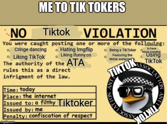 No tiktok violation. | ME TO TIK TOKERS | image tagged in no tiktok violation | made w/ Imgflip meme maker