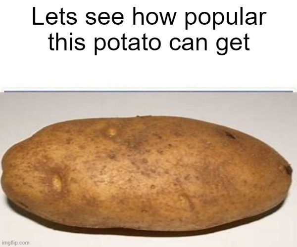 potato | Lets see how popular this potato can get | image tagged in mr potato head | made w/ Imgflip meme maker