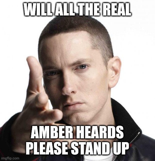 Eminem video game logic |  WILL ALL THE REAL; AMBER HEARDS PLEASE STAND UP | image tagged in funny | made w/ Imgflip meme maker