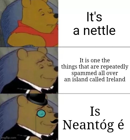 Nettles but in it's nativity | It's a nettle; It is one the things that are repeatedly spammed all over an island called Ireland; Is Neantóg é | image tagged in fancy pooh,nettles,sting machines,irish | made w/ Imgflip meme maker