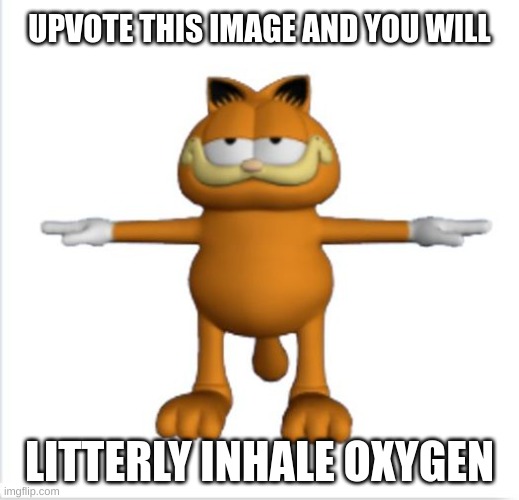 garfield t-pose | UPVOTE THIS IMAGE AND YOU WILL; LITTERLY INHALE OXYGEN | image tagged in garfield t-pose,just do it,pls,oh come on,upvote begging,lol so funny | made w/ Imgflip meme maker