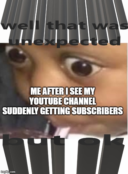 well that was unexpected but ok | ME AFTER I SEE MY YOUTUBE CHANNEL SUDDENLY GETTING SUBSCRIBERS | image tagged in well that was unexpected but ok | made w/ Imgflip meme maker