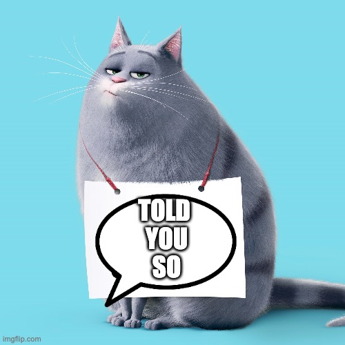 chloe | TOLD 
YOU
SO | image tagged in cats | made w/ Imgflip meme maker