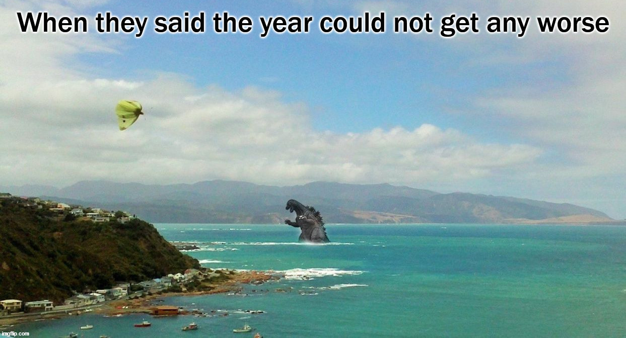 When they said the year could not get any worse | image tagged in godzilla,mothra | made w/ Imgflip meme maker