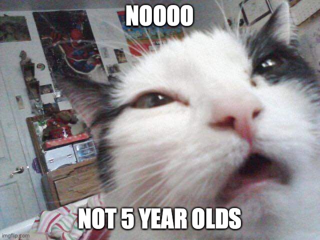 Disgusted Cat | NOOOO NOT 5 YEAR OLDS | image tagged in disgusted cat | made w/ Imgflip meme maker