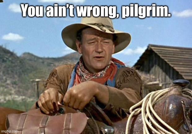 John wayne | You ain’t wrong, pilgrim. | image tagged in john wayne | made w/ Imgflip meme maker