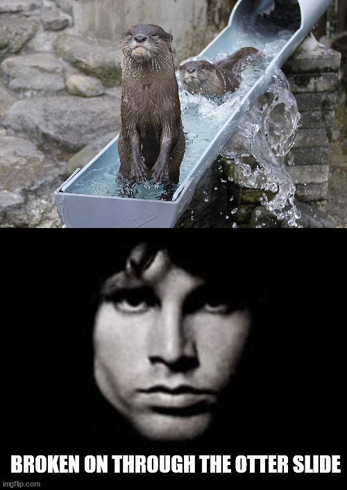 BROKEN ON THROUGH THE OTTER SLIDE | image tagged in jim morrison,eye roll | made w/ Imgflip meme maker