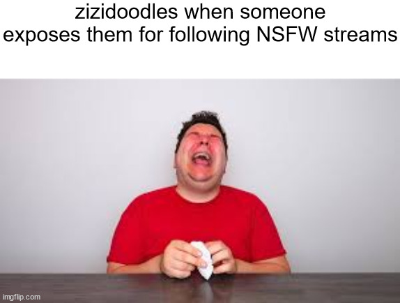 cry | zizidoodles when someone exposes them for following NSFW streams | image tagged in slandering msmg users | made w/ Imgflip meme maker