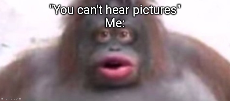 Uh ohhh... | "You can't hear pictures"
Me: | image tagged in you can't hear pictures,uh oh,stinky | made w/ Imgflip meme maker
