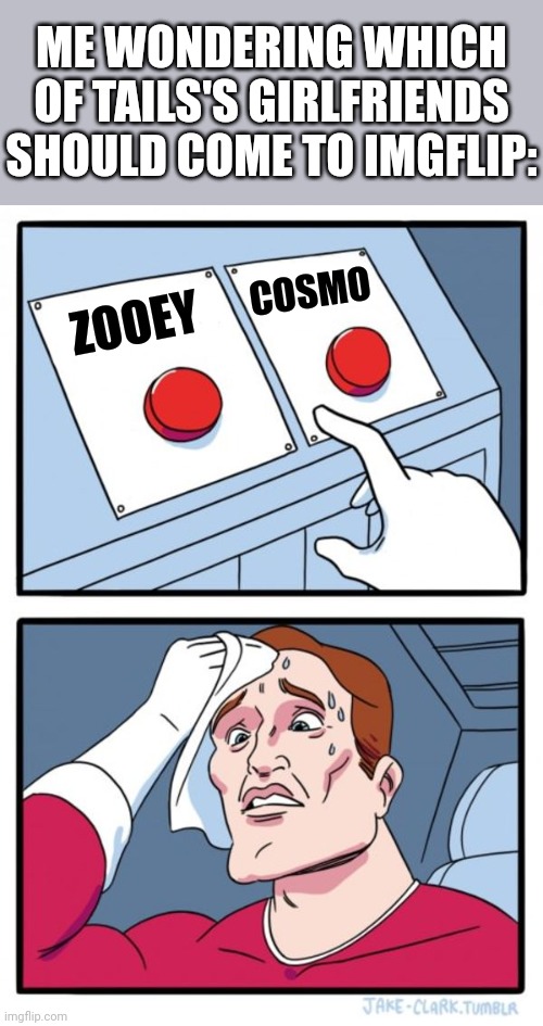 Which one should I pick? | ME WONDERING WHICH OF TAILS'S GIRLFRIENDS SHOULD COME TO IMGFLIP:; COSMO; ZOOEY | image tagged in memes,two buttons,tails the fox,sonic x,sonic boom,shipping | made w/ Imgflip meme maker
