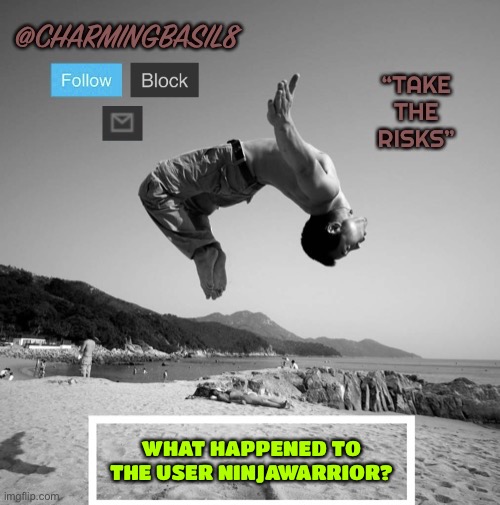 It says they are deleted but they seemed to post all the time. Hope they are alright | WHAT HAPPENED TO THE USER NINJAWARRIOR? | image tagged in charmingbasil8 take risks template | made w/ Imgflip meme maker
