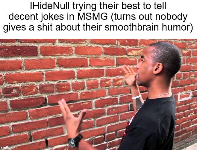 again, this is a joke, chill | IHideNull trying their best to tell decent jokes in MSMG (turns out nobody gives a shit about their smoothbrain humor) | image tagged in slandering msmg users | made w/ Imgflip meme maker