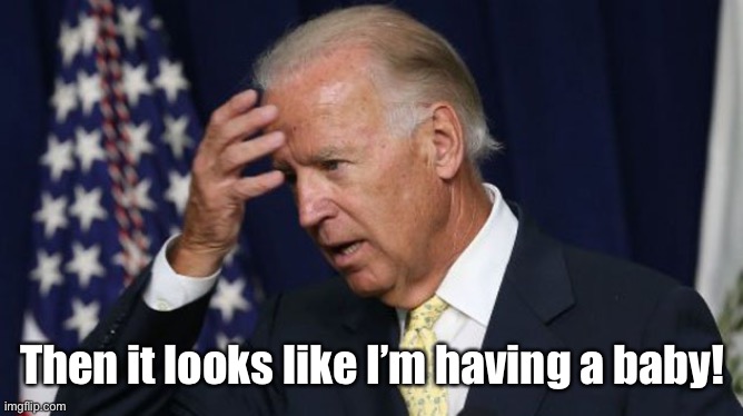 Joe Biden worries | Then it looks like I’m having a baby! | image tagged in joe biden worries | made w/ Imgflip meme maker
