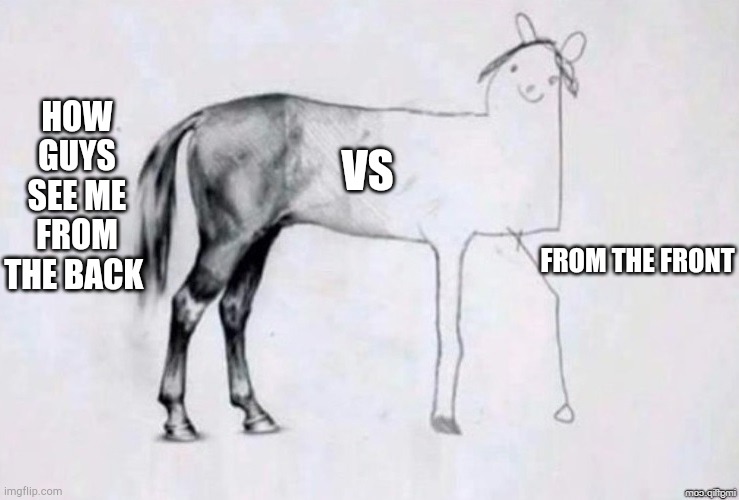 Horse Drawing | HOW GUYS SEE ME FROM THE BACK; VS; FROM THE FRONT | image tagged in horse drawing | made w/ Imgflip meme maker