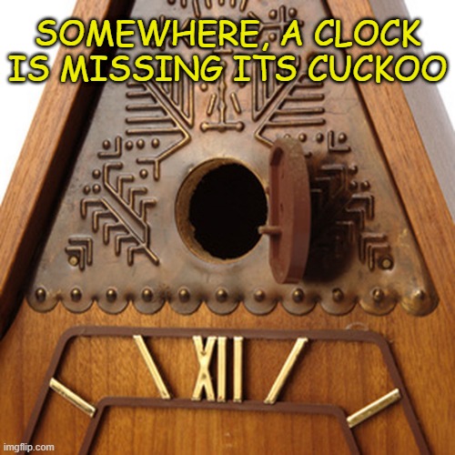 Somewhere, a clock is missing its cuckoo | SOMEWHERE, A CLOCK IS MISSING ITS CUCKOO | image tagged in funny memes,liberal lunacy,unhinged people,angry liberals,political meme,democrats | made w/ Imgflip meme maker