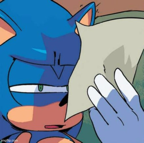 Sonic reading paper | image tagged in sonic reading paper | made w/ Imgflip meme maker