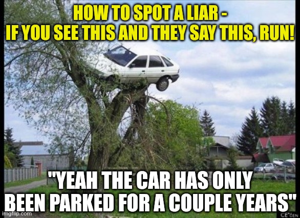Liars, uou can spot them if you undersrand the clues! |  HOW TO SPOT A LIAR -
IF YOU SEE THIS AND THEY SAY THIS, RUN! "YEAH THE CAR HAS ONLY BEEN PARKED FOR A COUPLE YEARS" | image tagged in memes,secure parking,liars,cars | made w/ Imgflip meme maker
