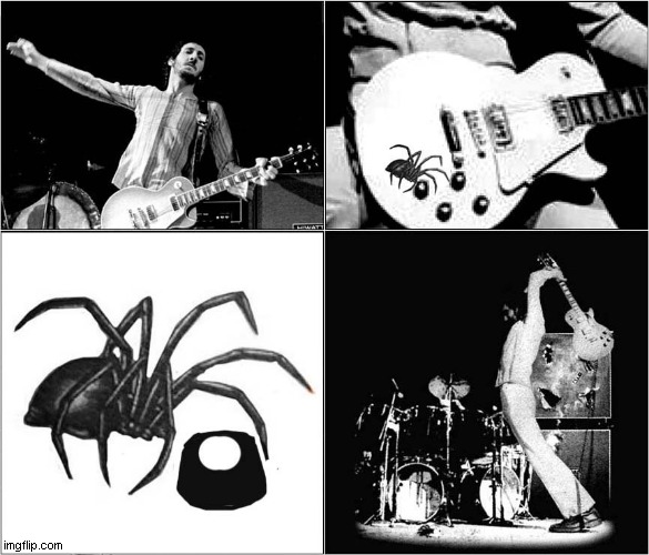 Guitar Smashing Explained Due To Arachnophobia ! | image tagged in the who,pete townsend,arachnophobia,smashing,guitars | made w/ Imgflip meme maker