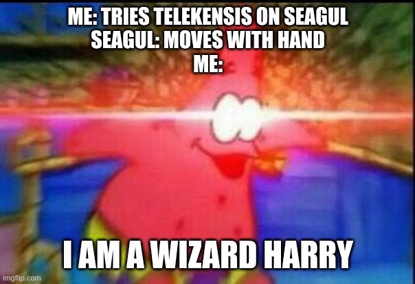 ?? ??????? ????? ?? ? ??? ?????? ?? ???? | ME: TRIES TELEKENSIS ON SEAGUL
SEAGUL: MOVES WITH HAND
ME:; I AM A WIZARD HARRY | image tagged in nani,seagull | made w/ Imgflip meme maker