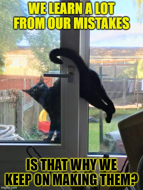 This #lolcat wonders why we keep making mistakes | WE LEARN A LOT FROM OUR MISTAKES; IS THAT WHY WE KEEP ON MAKING THEM? | image tagged in lolcat,mistakes,learning,think about it | made w/ Imgflip meme maker