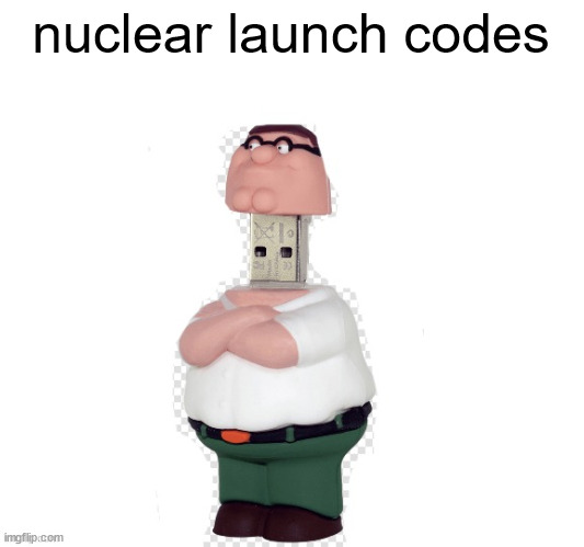 nuclear launch codes | nuclear launch codes | image tagged in shitpost status | made w/ Imgflip meme maker