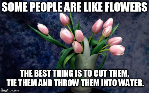 SOME PEOPLE ARE LIKE FLOWERS THE BEST THING IS TO CUT THEM, TIE THEM AND THROW THEM INTO WATER. | image tagged in funny | made w/ Imgflip meme maker