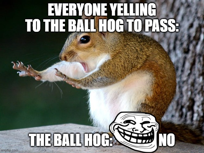 has this happened to u before? | EVERYONE YELLING TO THE BALL HOG TO PASS:; THE BALL HOG:                 NO | image tagged in stop squirrel | made w/ Imgflip meme maker