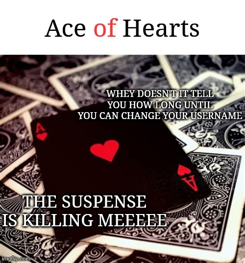 WHEY DOESN'T IT TELL YOU HOW LONG UNTIL YOU CAN CHANGE YOUR USERNAME; THE SUSPENSE IS KILLING MEEEEE | image tagged in ace of hearts | made w/ Imgflip meme maker
