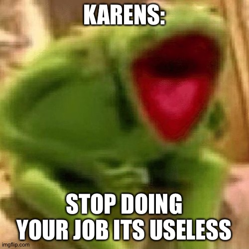 karens are so predictable | KARENS:; STOP DOING YOUR JOB ITS USELESS | image tagged in kermit laughing,karens,work | made w/ Imgflip meme maker