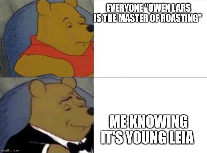 intellectual pooh | EVERYONE "OWEN LARS IS THE MASTER OF ROASTING"; ME KNOWING IT'S YOUNG LEIA | image tagged in intellectual pooh | made w/ Imgflip meme maker