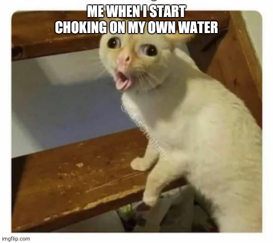 anyone ever did this be4??? | ME WHEN I START CHOKING ON MY OWN WATER | image tagged in coughing cat | made w/ Imgflip meme maker