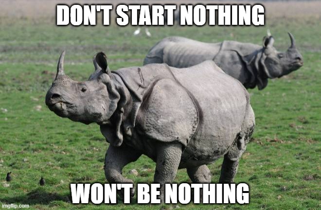 Rhinoceros  | DON'T START NOTHING WON'T BE NOTHING | image tagged in rhinoceros | made w/ Imgflip meme maker