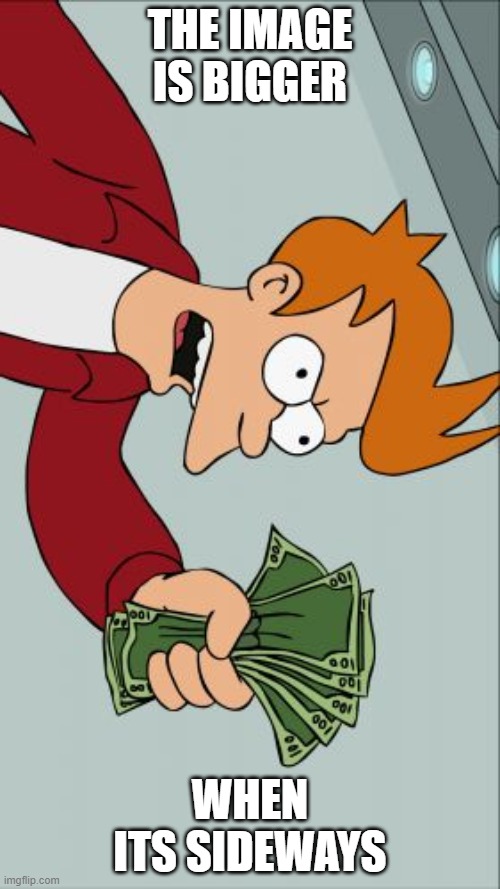Shut Up And Take My Money Fry | THE IMAGE IS BIGGER; WHEN ITS SIDEWAYS | image tagged in memes,shut up and take my money fry | made w/ Imgflip meme maker