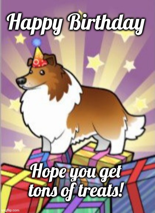 Happy Birthday | Happy Birthday; Hope you get tons of treats! | image tagged in sheltie happy birthday,sheltie,birthday,treats | made w/ Imgflip meme maker