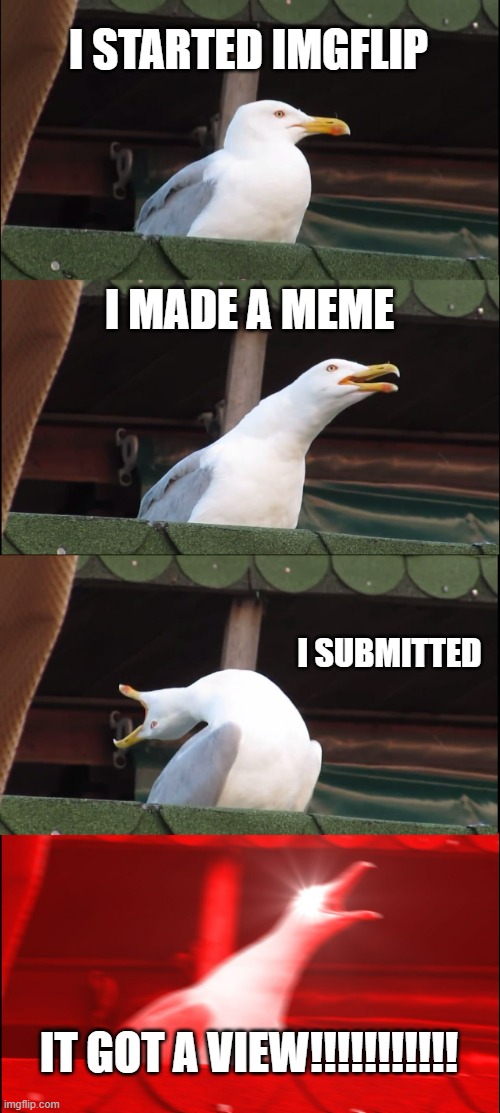 Inhaling Seagull Meme | I STARTED IMGFLIP; I MADE A MEME; I SUBMITTED; IT GOT A VIEW!!!!!!!!!!! | image tagged in memes,inhaling seagull | made w/ Imgflip meme maker